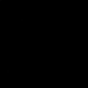 Meet your Posher, Abbie